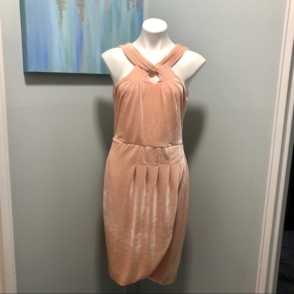 Cupcakes & Cashmere Wales Velvet Dress